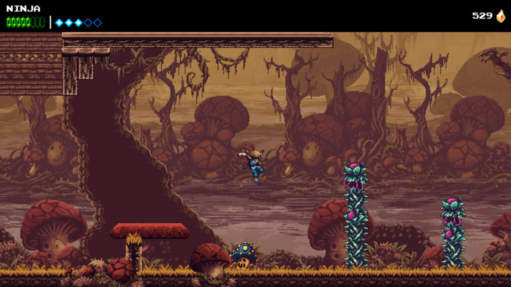 the messenger ninja